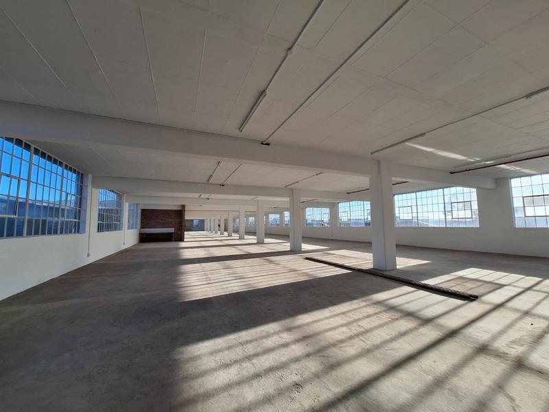To Let Commercial Property for Rent in Diep River Western Cape